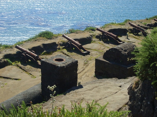 castillo niebla